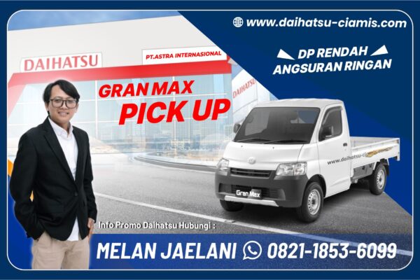Granmax Pick UP